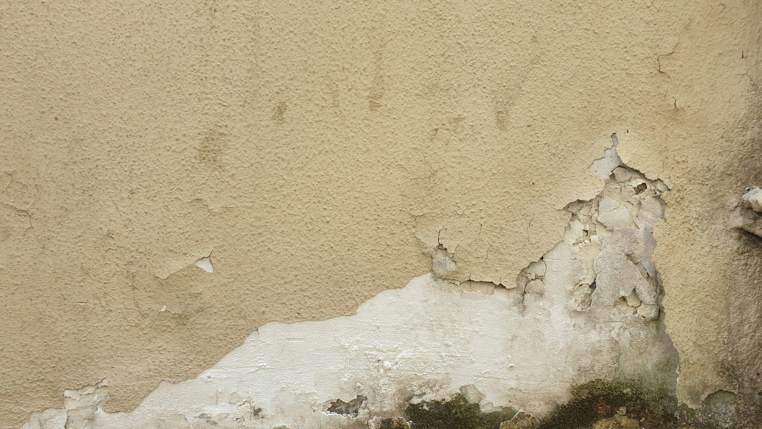 Damp & water damage